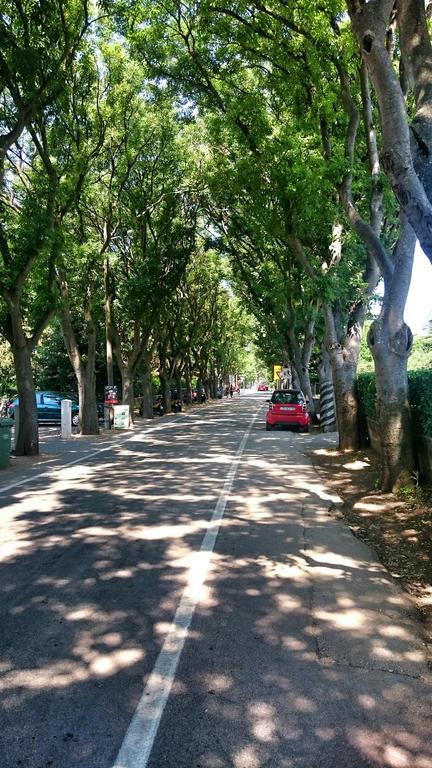 Apartment Borik Beach 86 ザダル 部屋 写真
